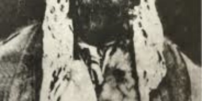 DF408761-48F9-4412-9455-23C19BB2EEAB